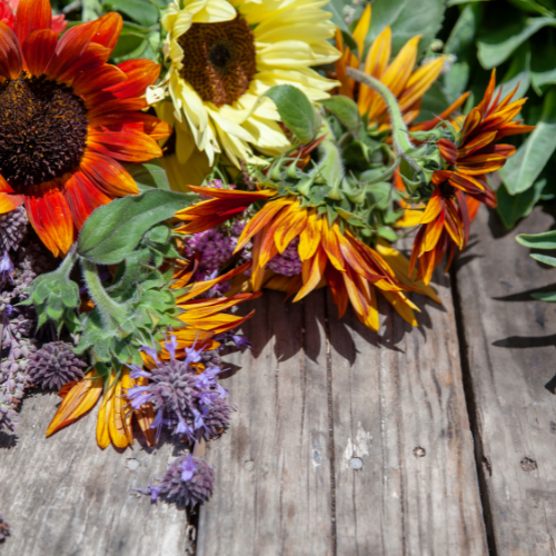 How to extend the life of your farm fresh flowers