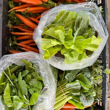 Load image into Gallery viewer, Winter CSA Veggie Box
